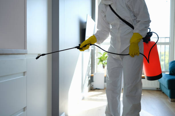 Why You Should Choose Our Mold Remediation Services in Laguna Heights, TX